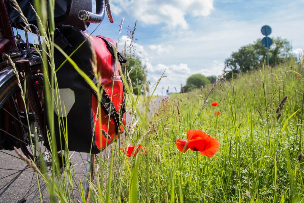 aurelia-brivet-coquelicots