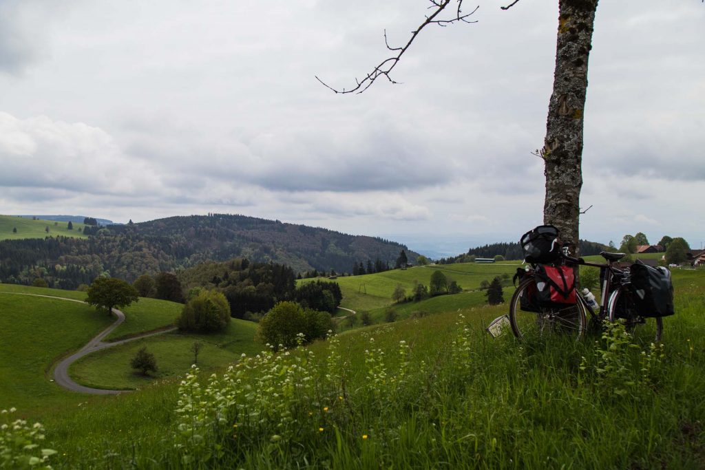 aurelia-brivet-foret-noire-collines