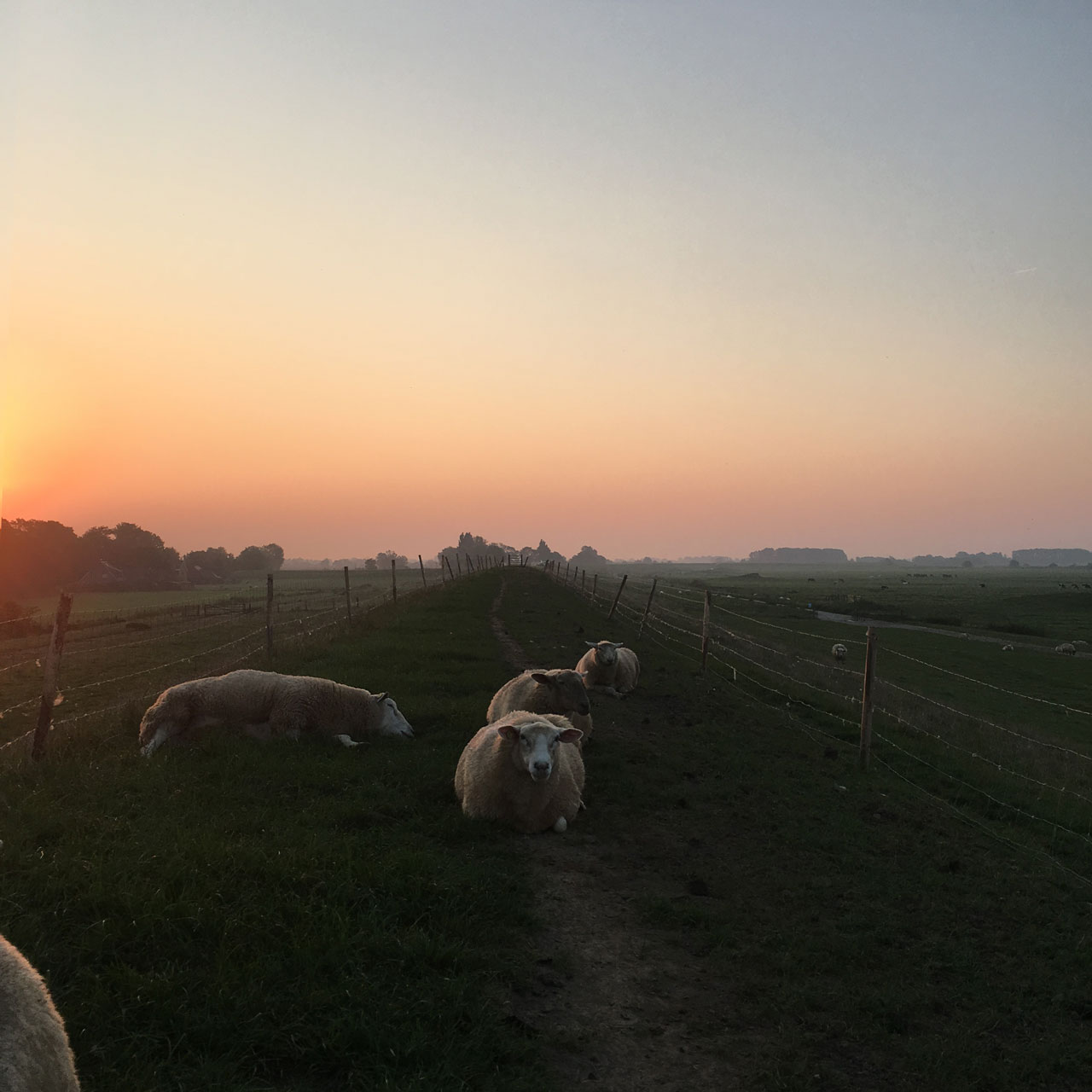 Réveil à Kollmar, Allemagne