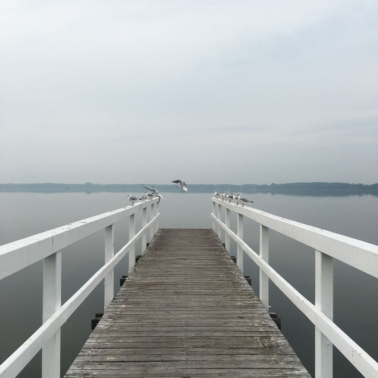Bad Zwischenahn, Allemagne